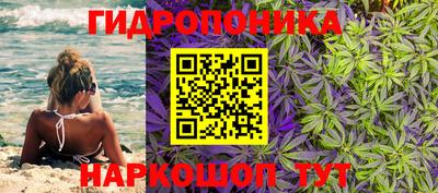 гашик Балахна